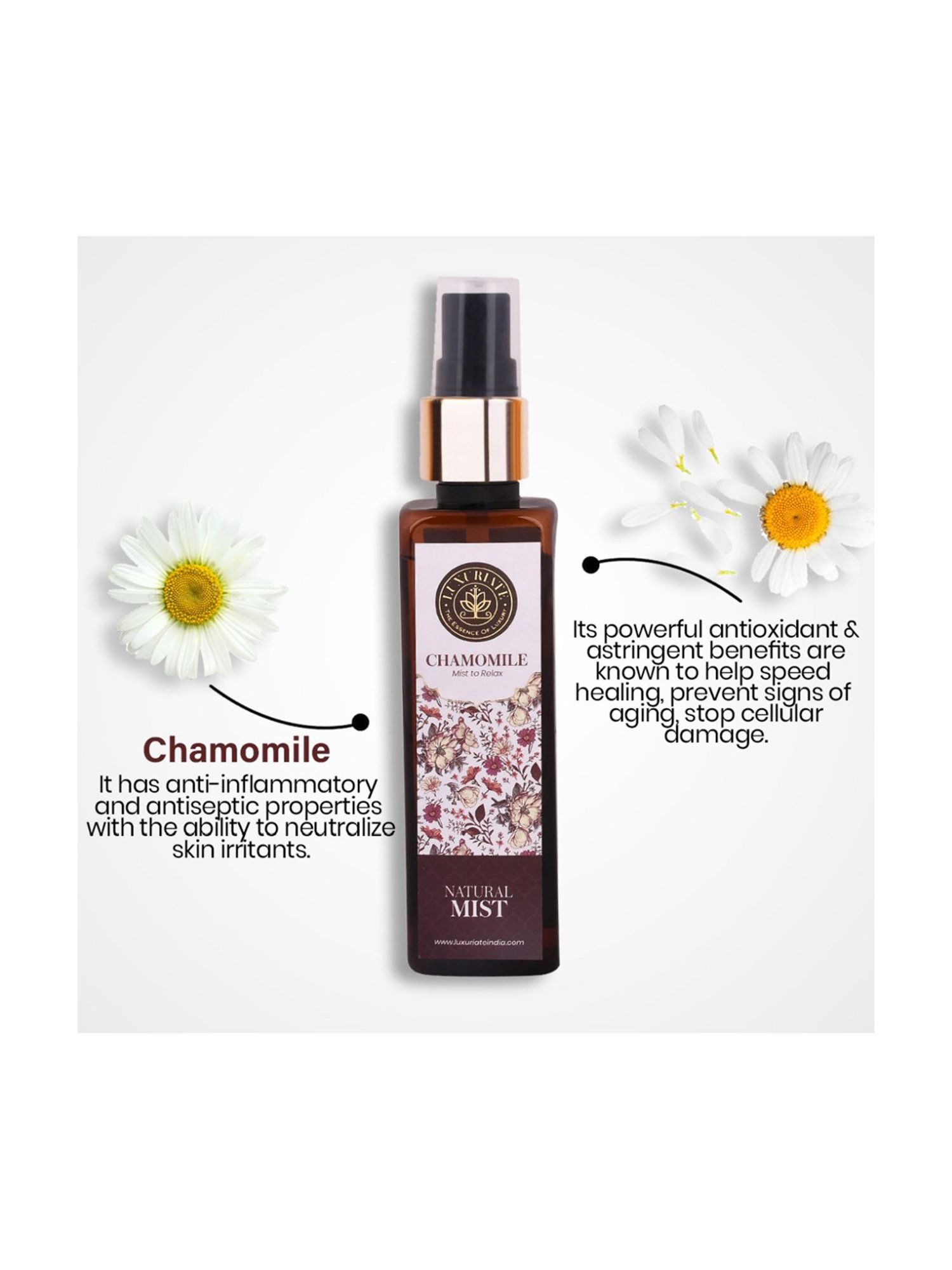 mCaffeine Coffee Face Moisturizer and Body Lotion for Complete Winter Care Combo