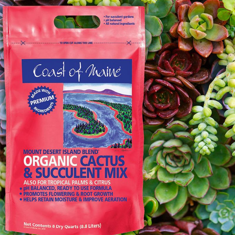 Coast of Maine Indoor Outdoor Mount Desert Island Blend Organic Cactus and Succulent Potting Soil Mix with Beneficial Nutrients, 8 Quart Bag