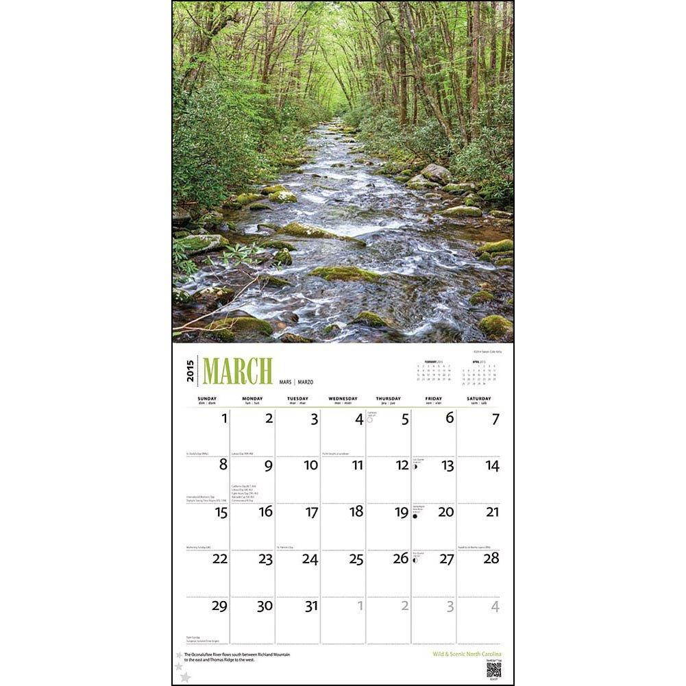 All You Need is Yorkshire Terrier Box Sign by Primitives by Kathy