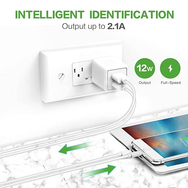 Charger 21A 12W Dual Port Portable Universal USB Charger for Apple iPhoneiPad Samsung Galaxy HTC Nexus Moto BlackBerry Bluetooth Speaker Headset amp Power Bank White 2Pack
