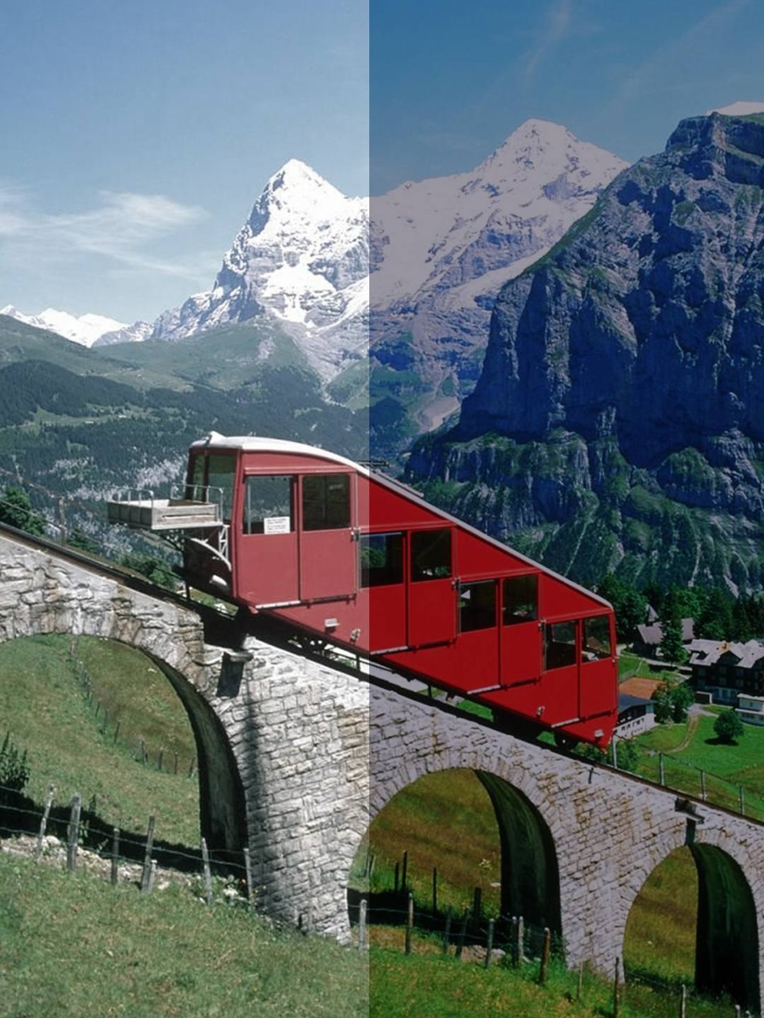 Ted Smith BEUNIQ_C1 Black Square Sunglasses