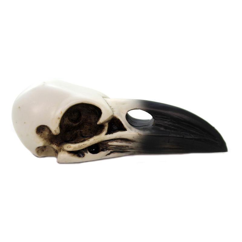 Halloween 2.5" Raven Skull Bones Bird  -  Decorative Figurines