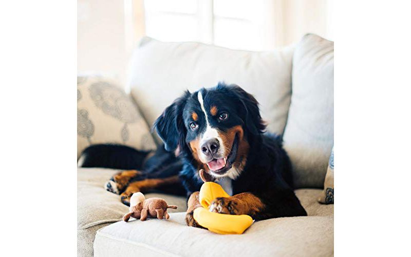 ZippyPaws - Zoo Friends Burrow, Interactive Squeaky Hide and Seek Plush Dog Toy - Monkey 'n Banana