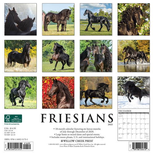 2021 Friesians Wall