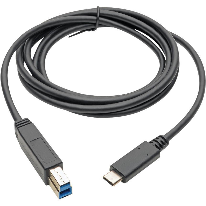 Tripp Lite U422-006 USB Type-C to USB Type-B Cable, 6 ft.