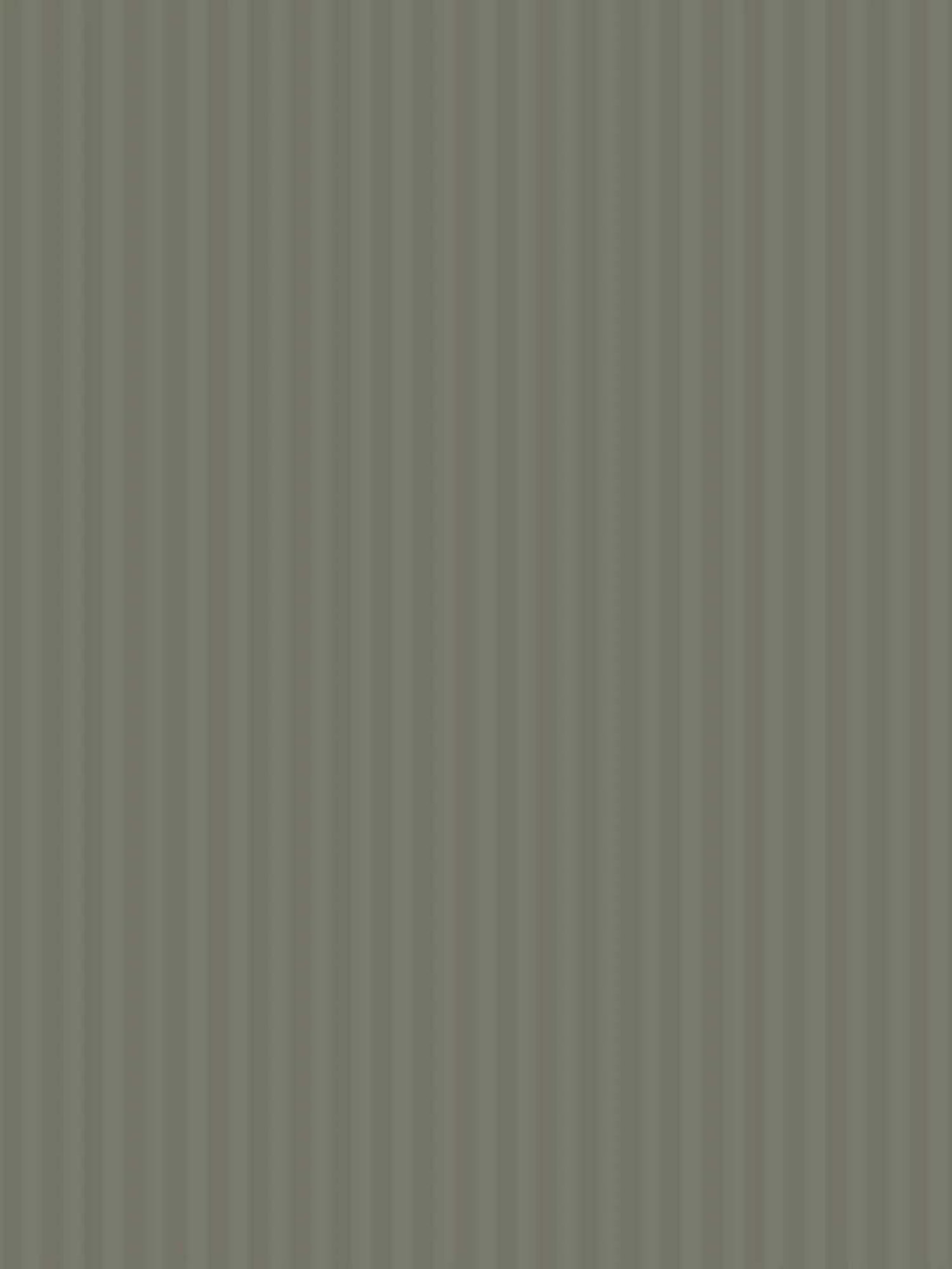 My Room Grey 100% Cotton 300 TC King Bedsheet with 2 Pillow Covers