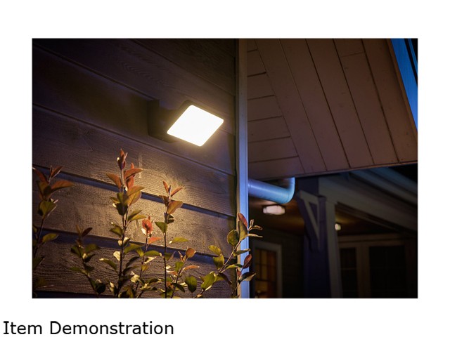 Philips Hue 1743630V7 Welcome Outdoor Floodlight