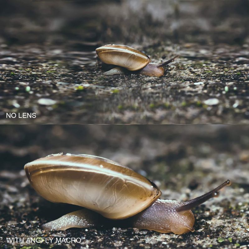 Phone Camera Lens Pro - ANGFLY 4K HD 2 in 1 Aspherical Wide Angle Lens & Super Macro Lens,Clip-On Cell Phone Camera Lenses Compatible with iPhone,Android,Samsung Mobile Phones and Tablets