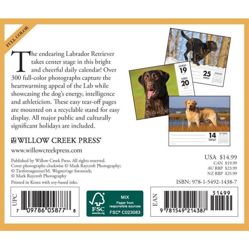 Just Labs 2021 Box Calendar (Dog Breed Calendar)