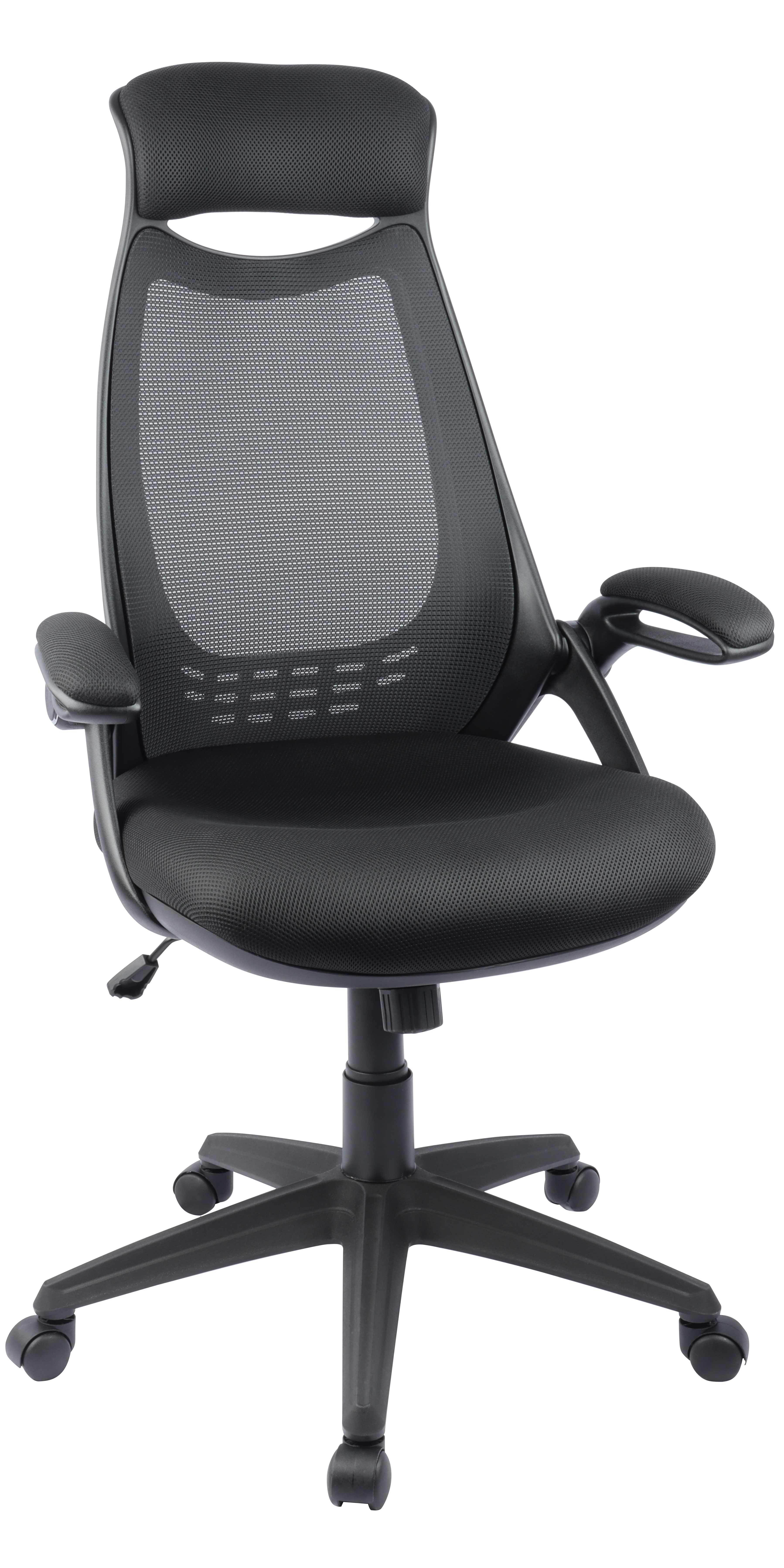 Big and Tall Office Chair Task Desk Chair Mesh Computer Chair Clearance with Headrest and Flip-up Arms, Ergonomic Swivel High-Back Executive Chair, Rocking, Height Adjustable(Black)