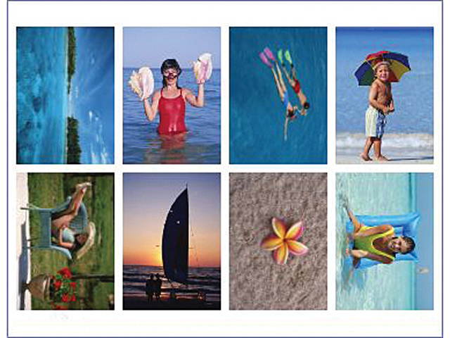 Individual Software PhotoStudio Expressions Platinum 6