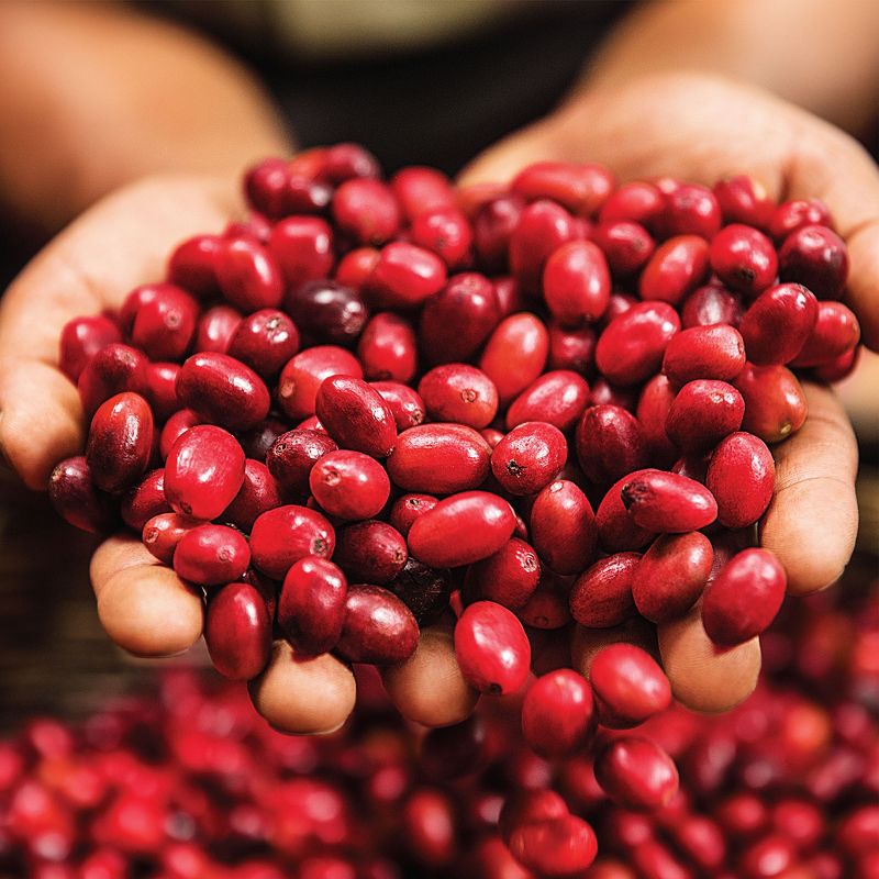 Green Mountain Coffee Nantucket Blend Ground Coffee - Medium Roast - 12oz