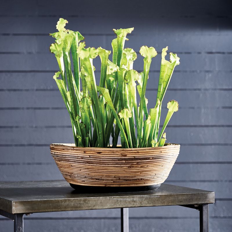Plum & Post Sarracenia Drop-In Faux (Fake) 21"