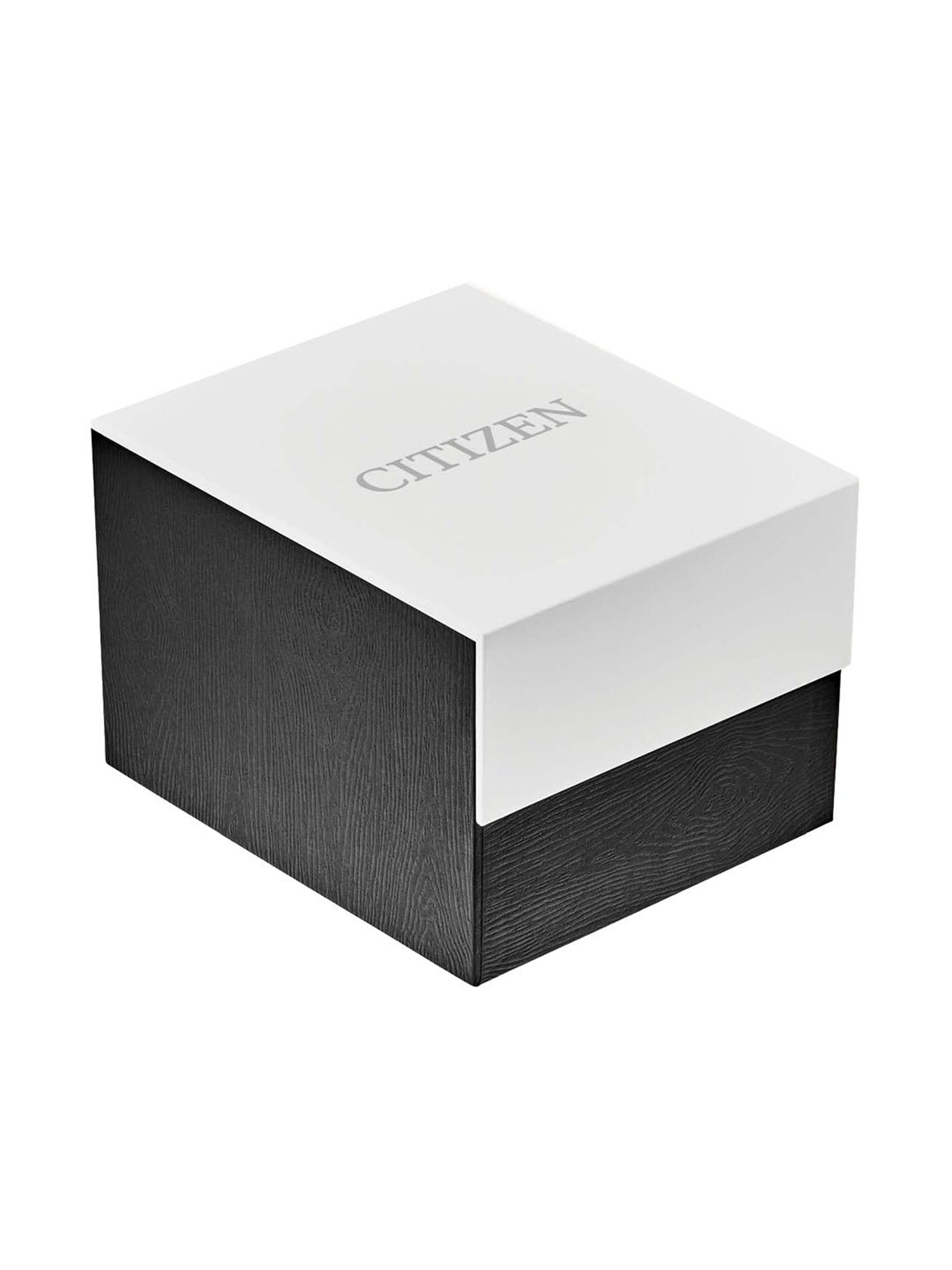 Citizen BM733458B Analog Watch for Men