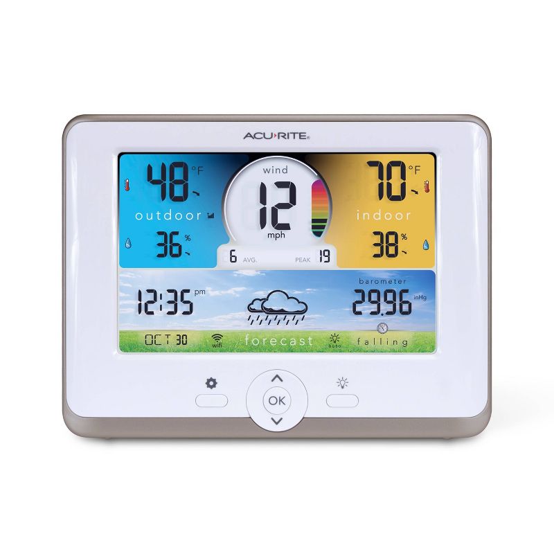 Wind & Weather Plastic Floating Rain Gauge with Metal Stake