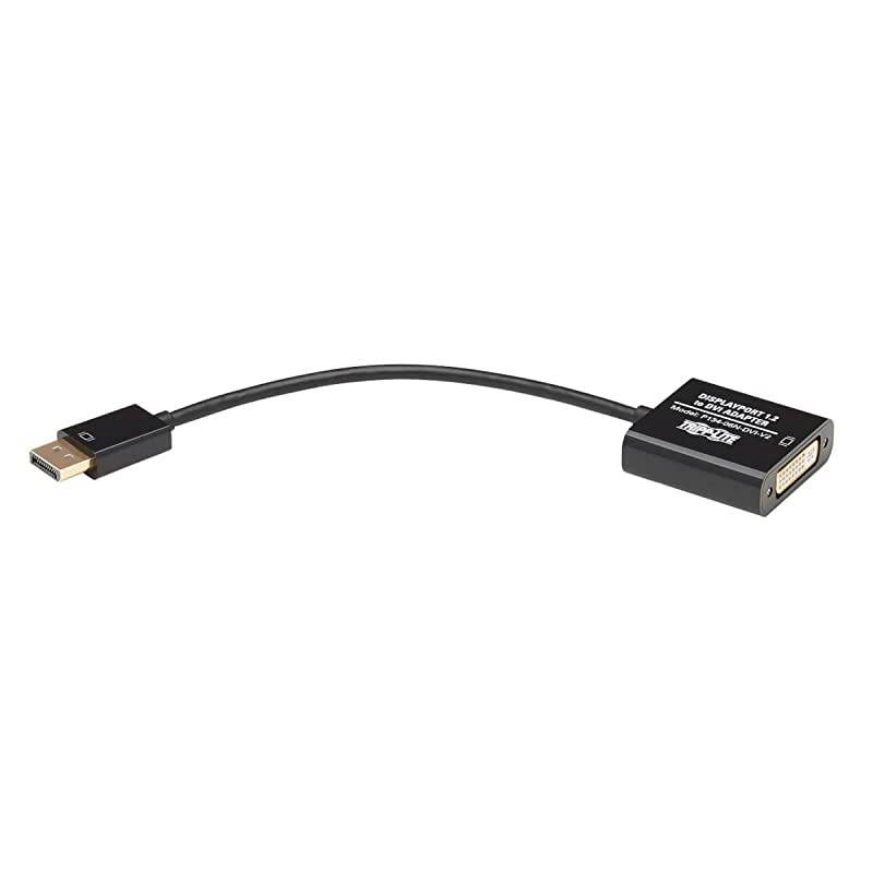 DisplayPort to DVI Active Adapter Cable Video Converter Displayport 12 DP2DVI 6in P13406NDVIV2