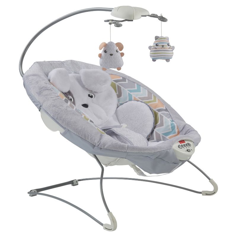 ​Fisher-Price Baby Bouncer