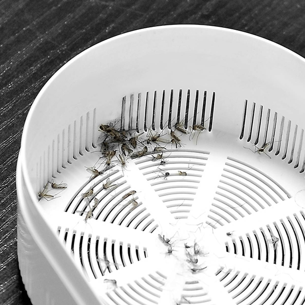 H35844 Mosquito Eradicatio Desktop Fan 3 Gears Wind Speed LED Light Cooling Fans USB Charging Mosquito Killer Fan-Yellow