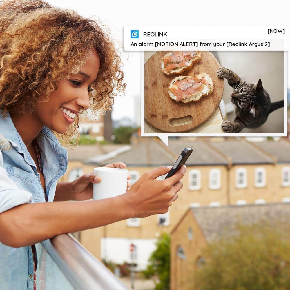 Reolink Outdoor Security Camera Wireless Rechargeable Battery 1080P Color Night Vision Motion Detection 2-Way Audio, Support Google Assistant, Cloud Storage, Argus 2