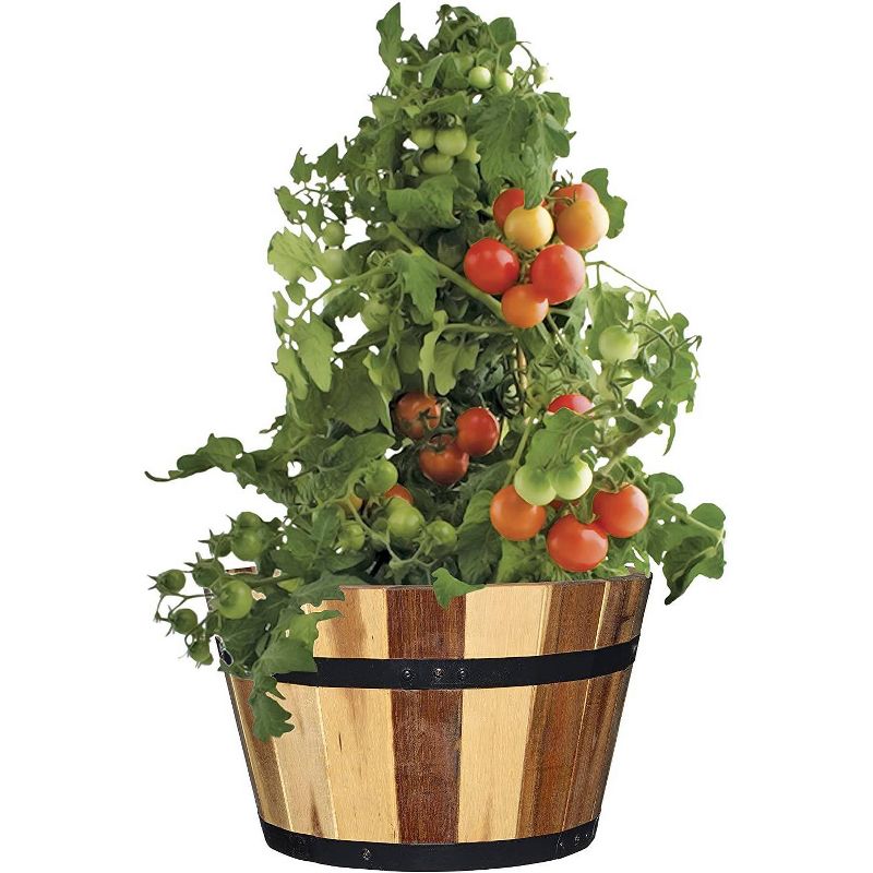 Set of 3 Acacia Wood Barrel Planters - Classic Home and Garden