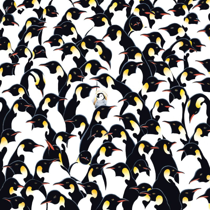 TDC Games World's Most Difficult Jigsaw Puzzle - Penguins - 500 pieces - Double Sided with one side turned 90 degrees - 15 inches when assembled