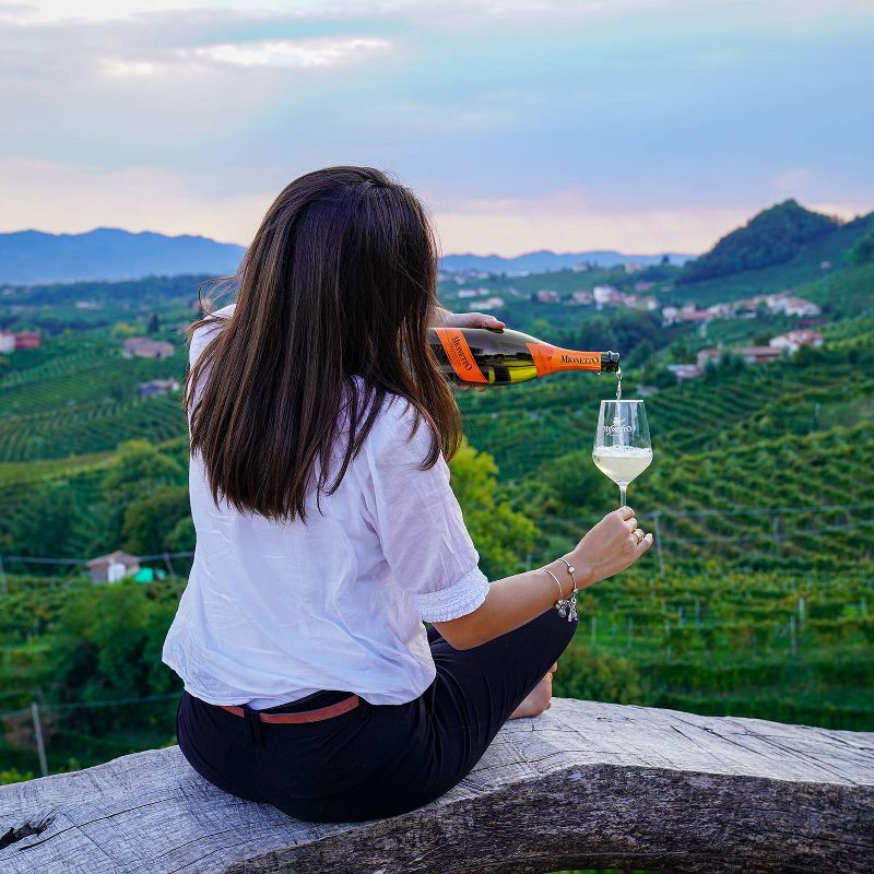 Mionetto Prosecco Brut Sparkling White Wine - 750ml Bottle