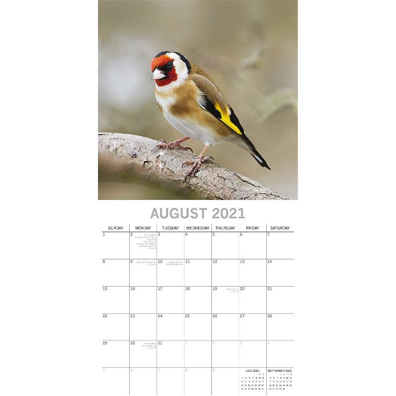 Sellers Publishing, 2021 Outlander 16-Month Wall Calendar