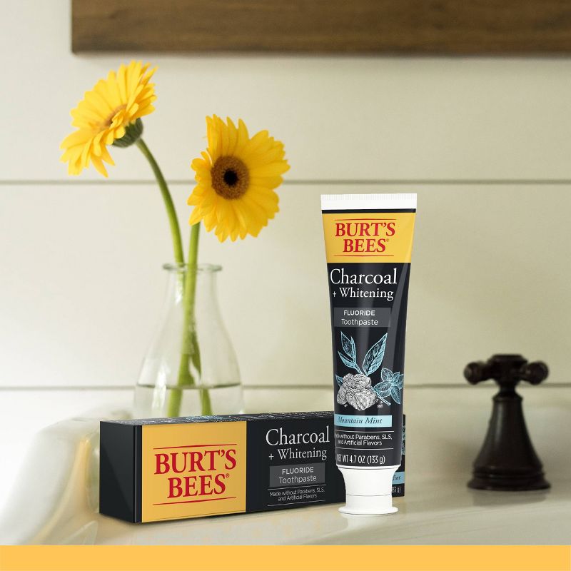 Burt's Bees Charcoal Natural Toothpaste with Fluoride Peppermint - 4.7oz