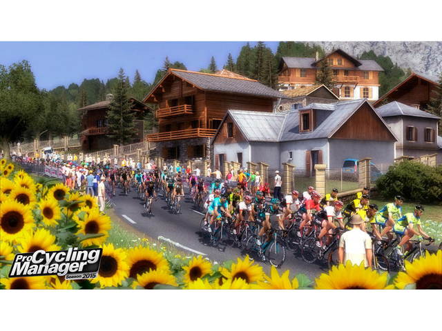Pro Cycling Manager 2015 [Online Game Code]