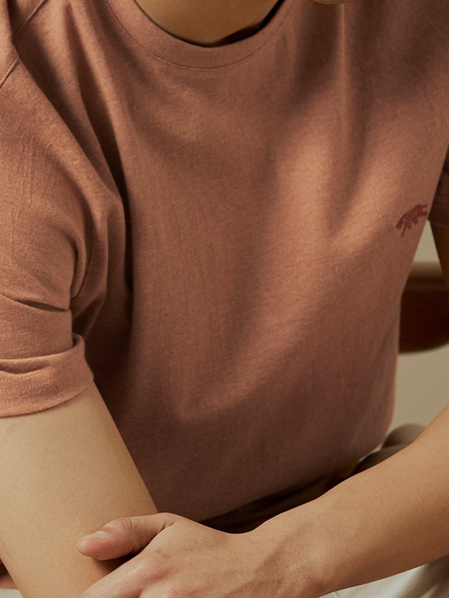 ANDAMEN Light Brown Regular Fit Crew T-Shirt