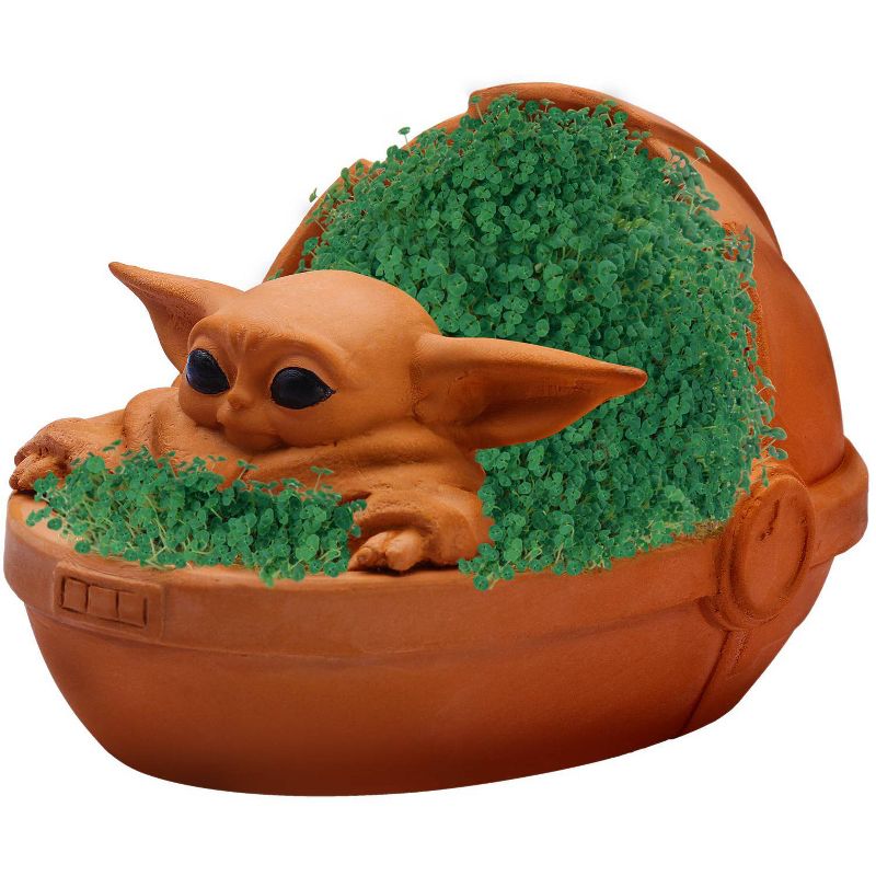 As Seen on TV Chia Pet Star Wars "The Child"