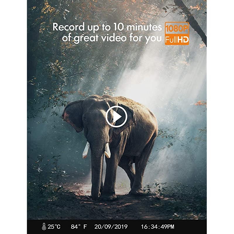 Trail Camera 16MP 1080P NoGlow Infrared Night Vision Hunting Camera for Wildlife Monitoring Garden Home Security Surveillance