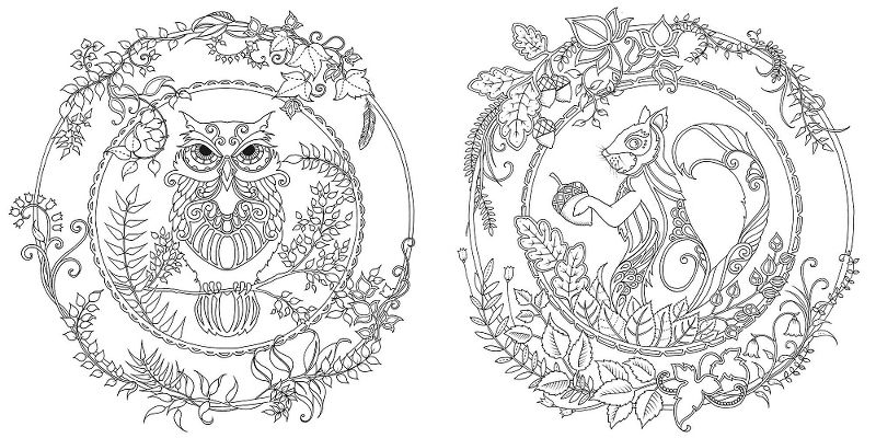 Shark Coloring Book For Kids - by  Carmela Foxx (Paperback)