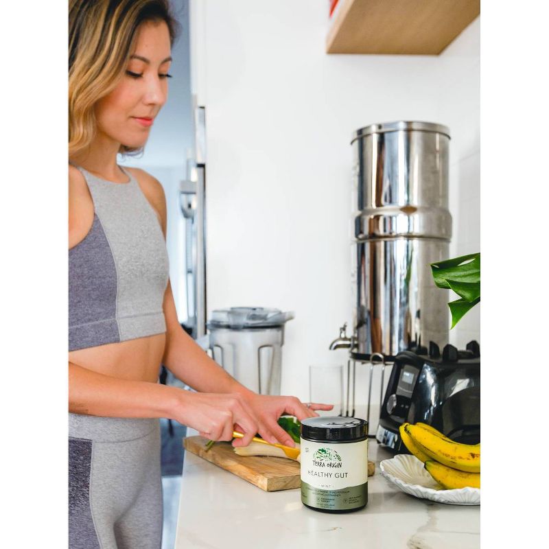 Terra Origin Healthy Gut Powder Mint - 7.83oz