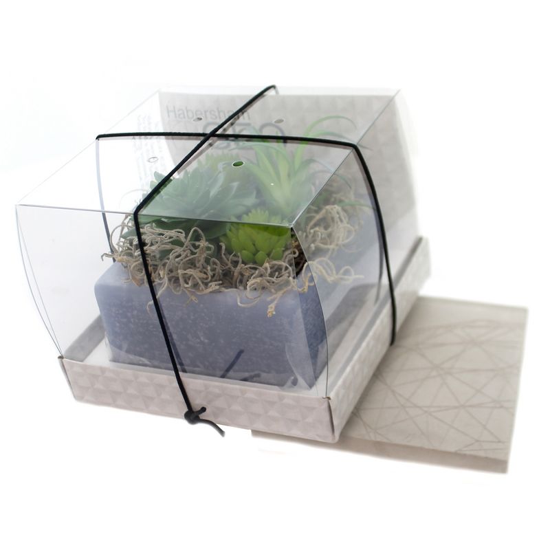 Habersham Candles 4.25" Cactus Water Wax Pottery No Burn Fragrance  -  Flameless Candles