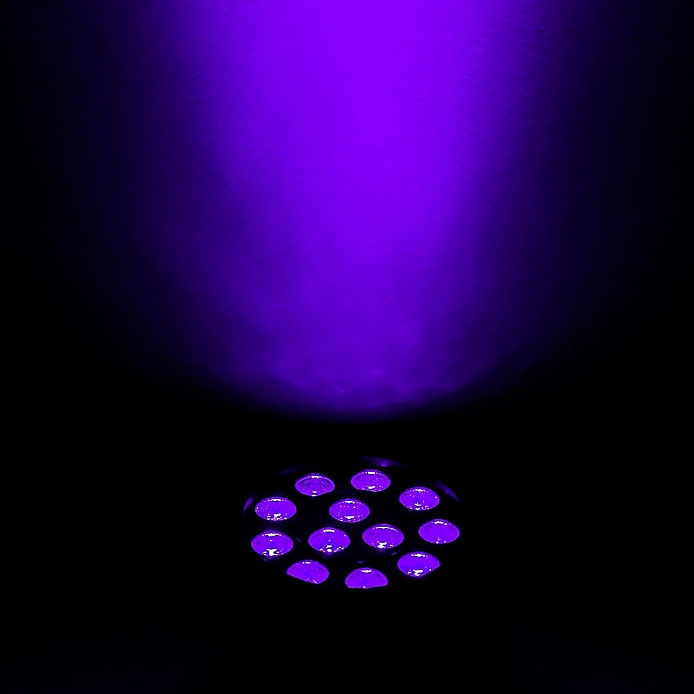 Eliminator Lighting Mini PAR UV LED Black Light Black