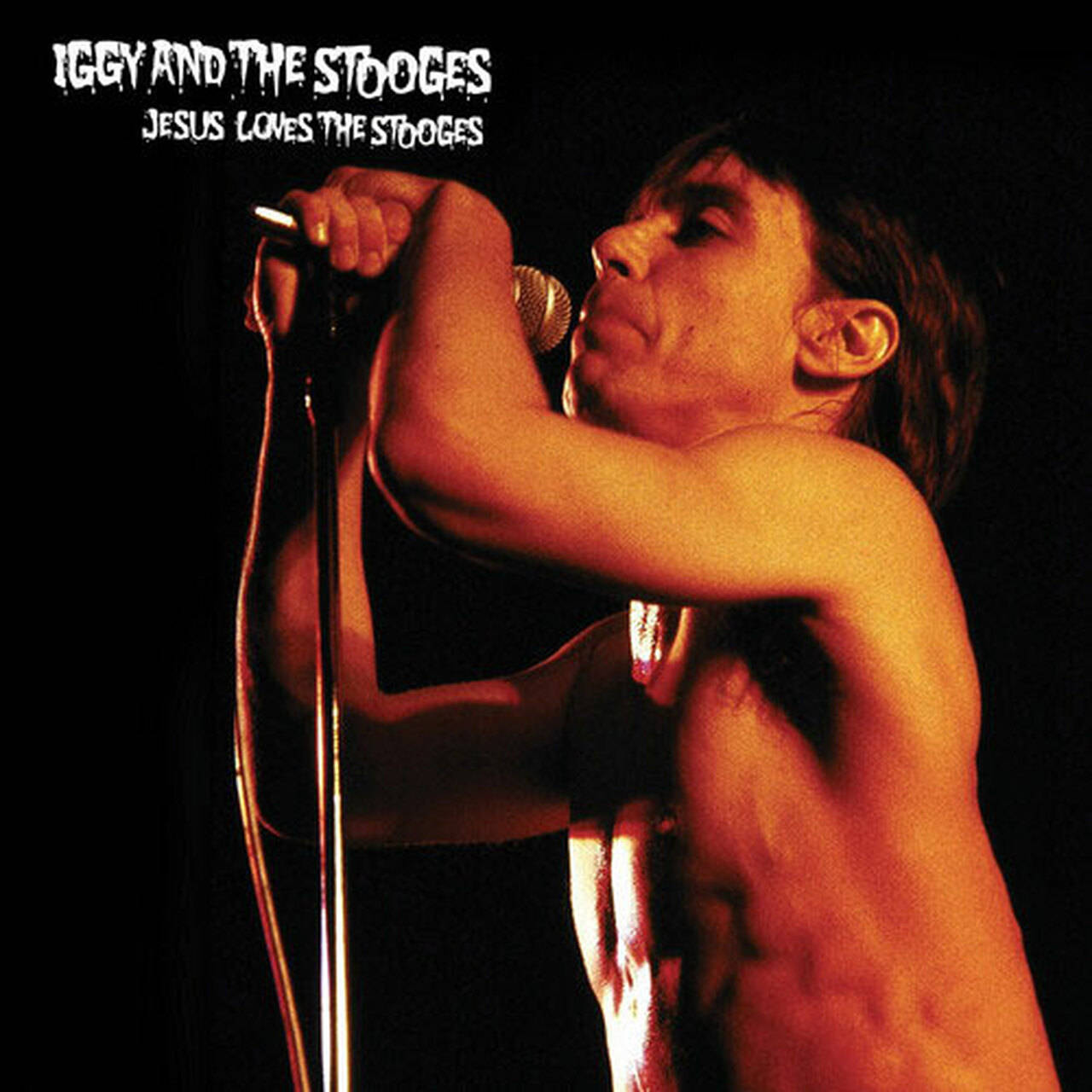 Iggy & The Stooges Jesus Loves The Stooges LP (Splatter Vinyl)