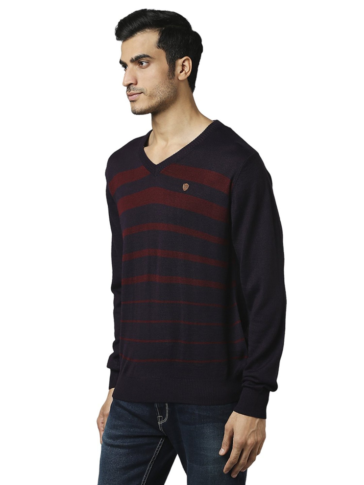 Raymond Purple  Regular Fit Striped Sweaters