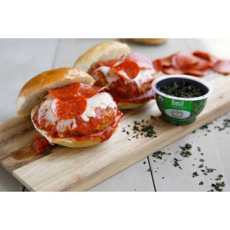 Gourmet Garden Lightly Dried Basil - 0.42oz