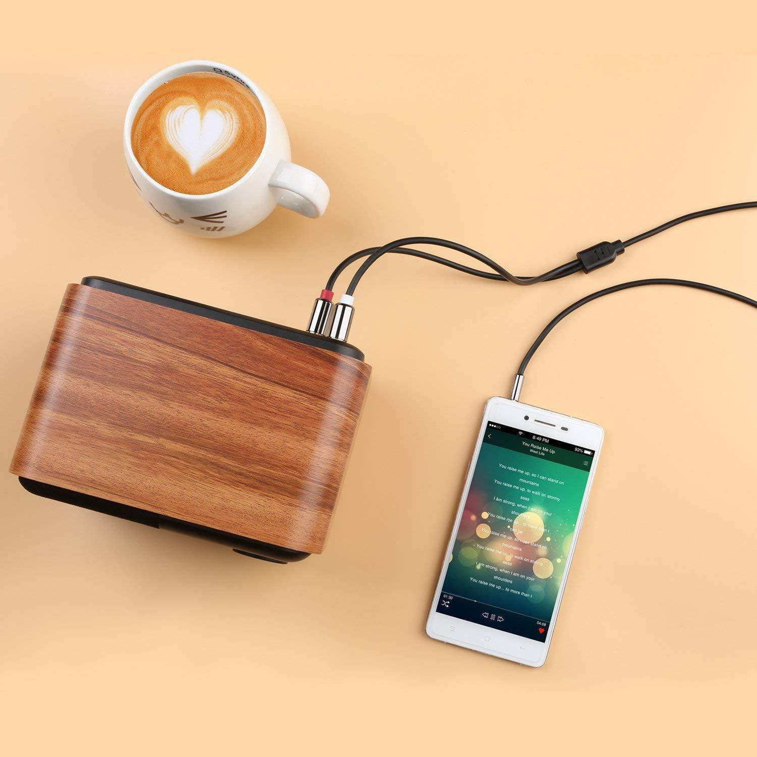 Cablecreation 3 Feet RCA Audio Cable 3.5mm Male to 2-Male RCA Cable, Y Splitter Design Stereo Audio RCA Male Cable, 1 Meter, Black