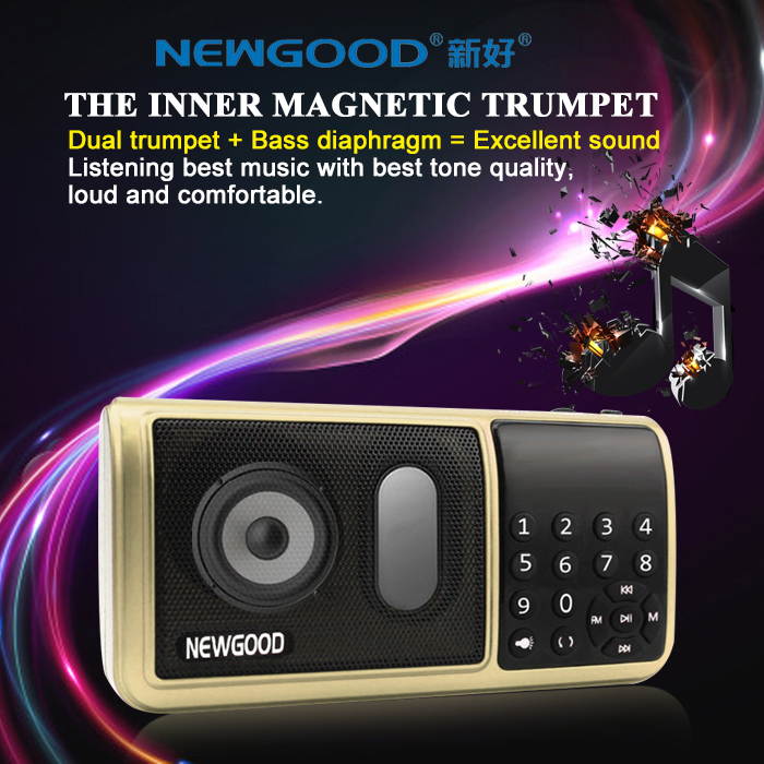 NEWGOOD Portable Speaker Super Bass with USB/TF/3.5mm AUX/FM Radio hifi digital audio player with Two micro SD card slot and LED flashlight (golden)