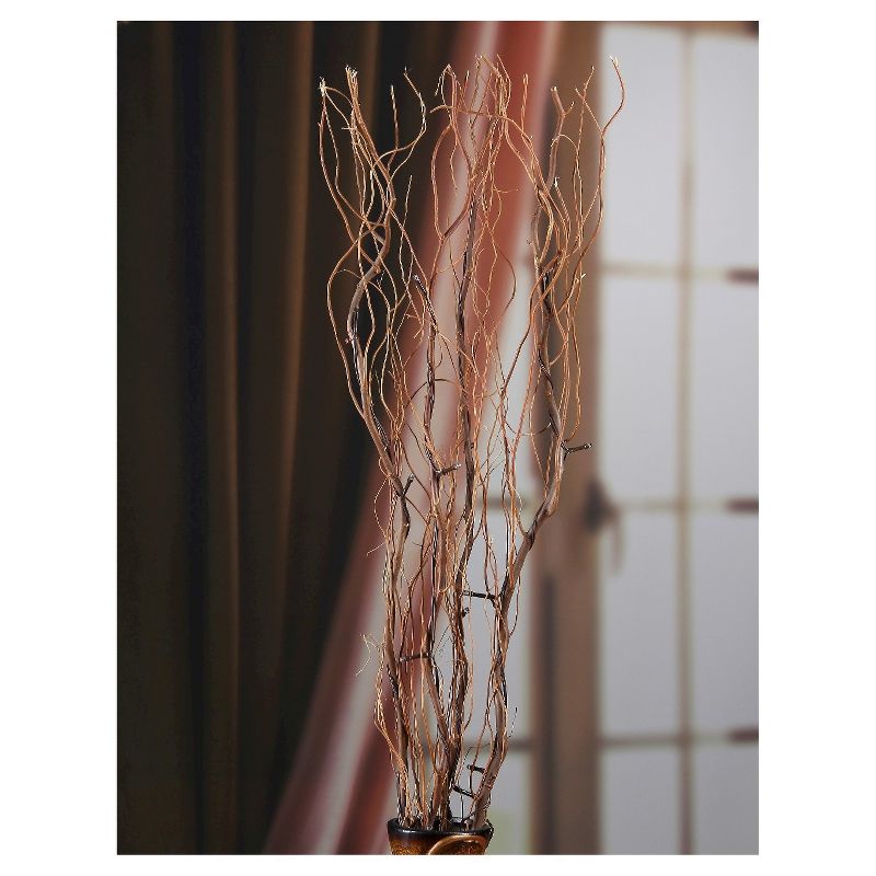 Lightshare 36" 16 LED Natural Twig Branch Light for Home Decoration, Battery Powered - Warm White Lights