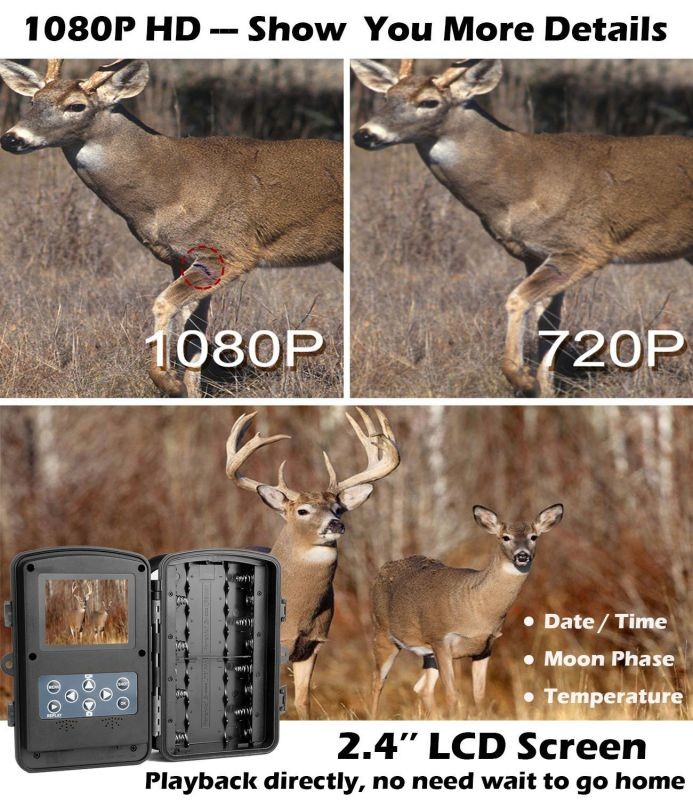 Game Trail Camera 1080P 12MP with Sound Scouting Camera with 2.4in LCD Screen No Glow Black Infrared Night Vision 0.5s Trigger Speed IP66 Waterproof for Wildlife Hunting Monitoring Security
