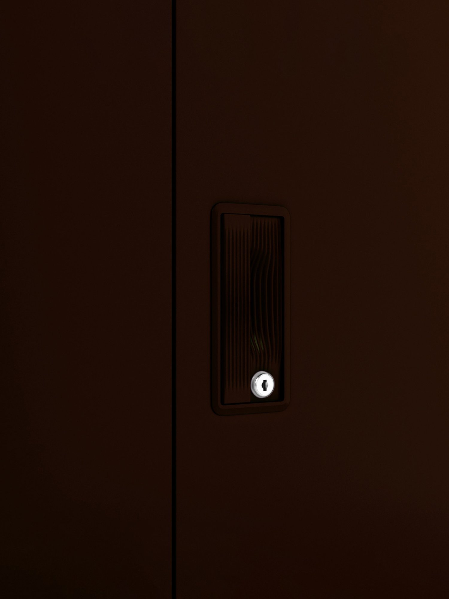 Home Basics 5 Dual Hook Chrome Plated Steel Over the Door Hanging Rack