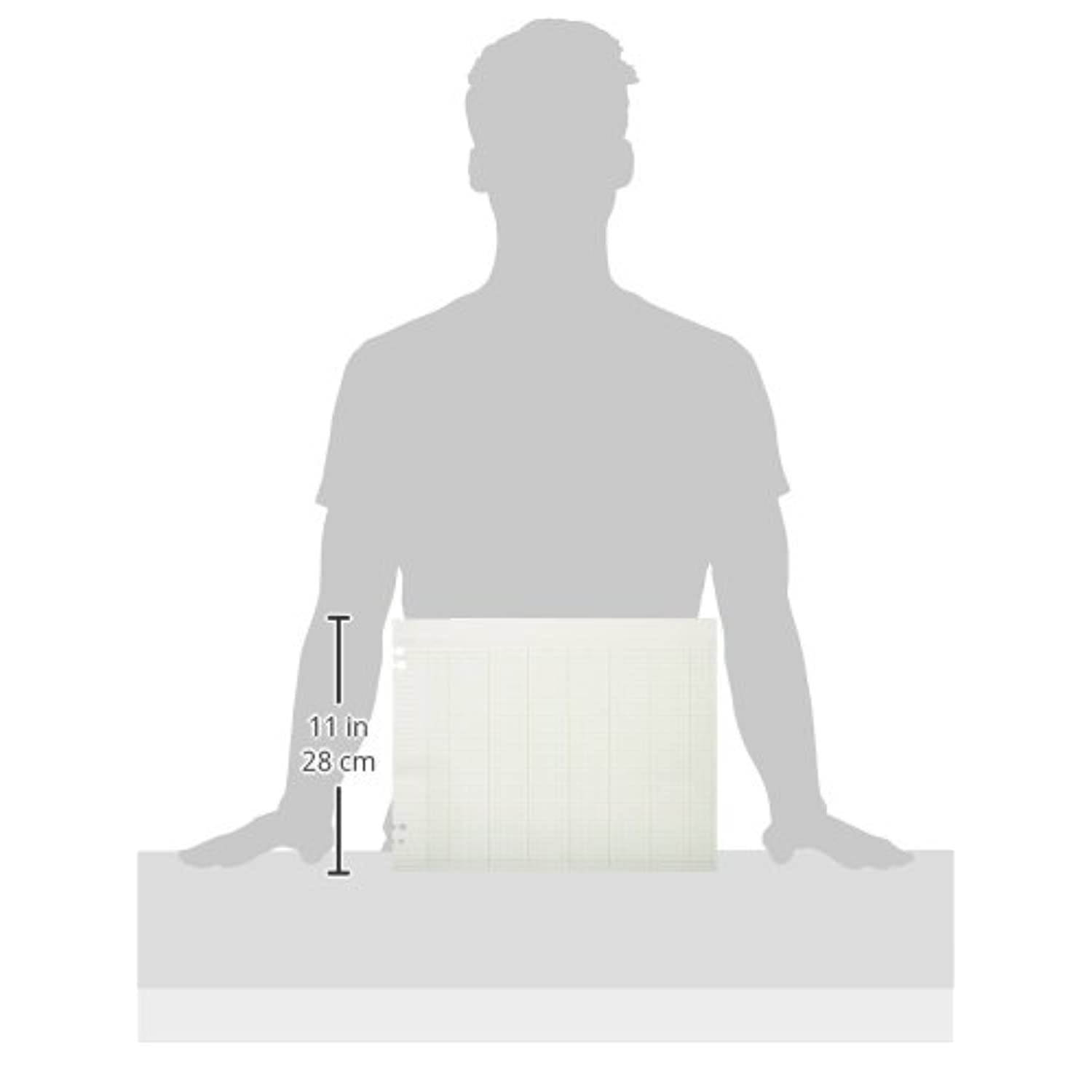 Wilson Jones WLJG3024 Green Columnar Ruled Ledger Paper, Double Page Format, 24 Columns and 36 Lines per Page, 11 x 14 Inches, 100 Sheets per Pack (WG30-24A)