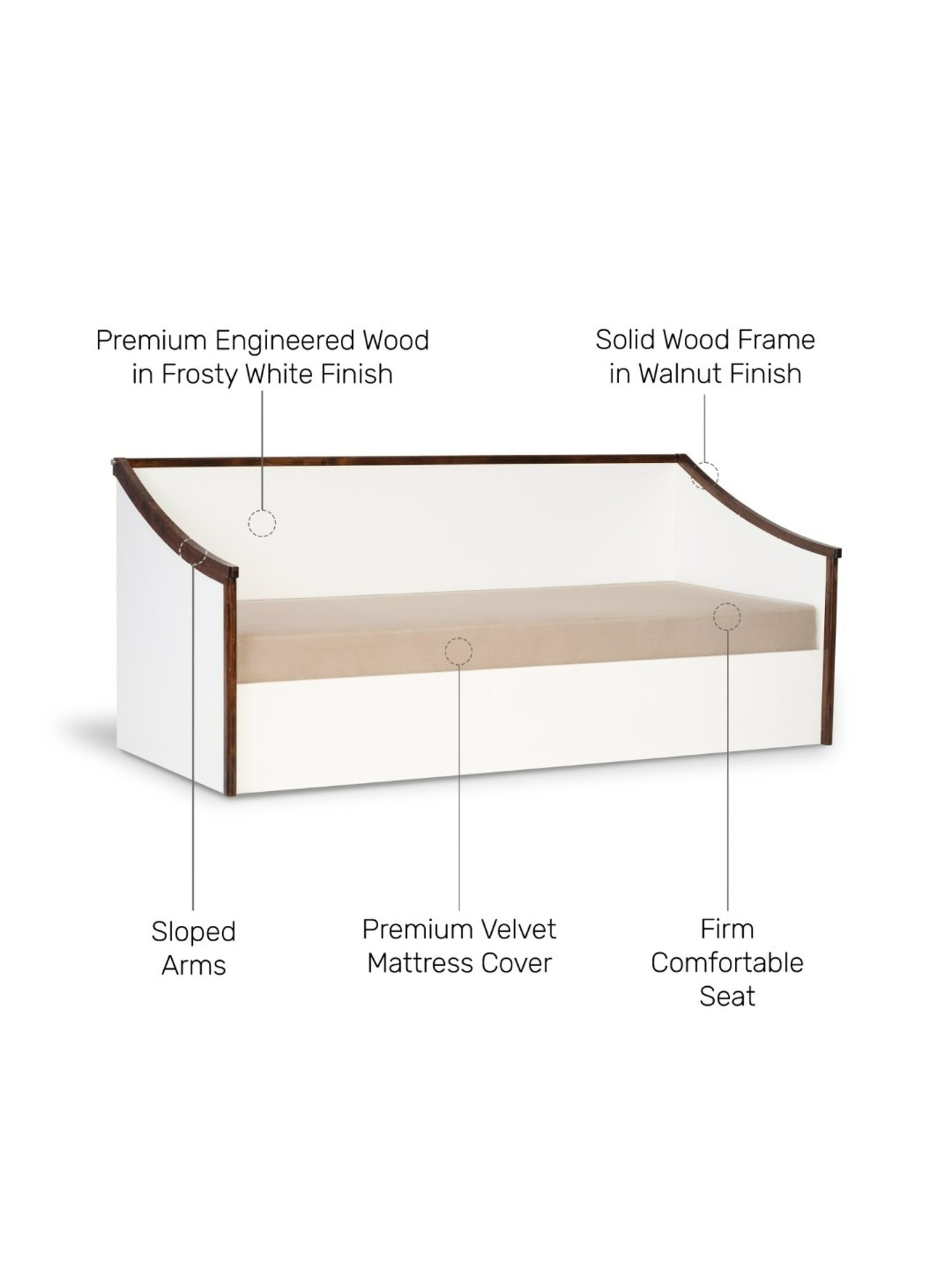 Durian Francis Modern Frosty White & Brown Solid Wood Sofa Cum Bed Walnut Finish