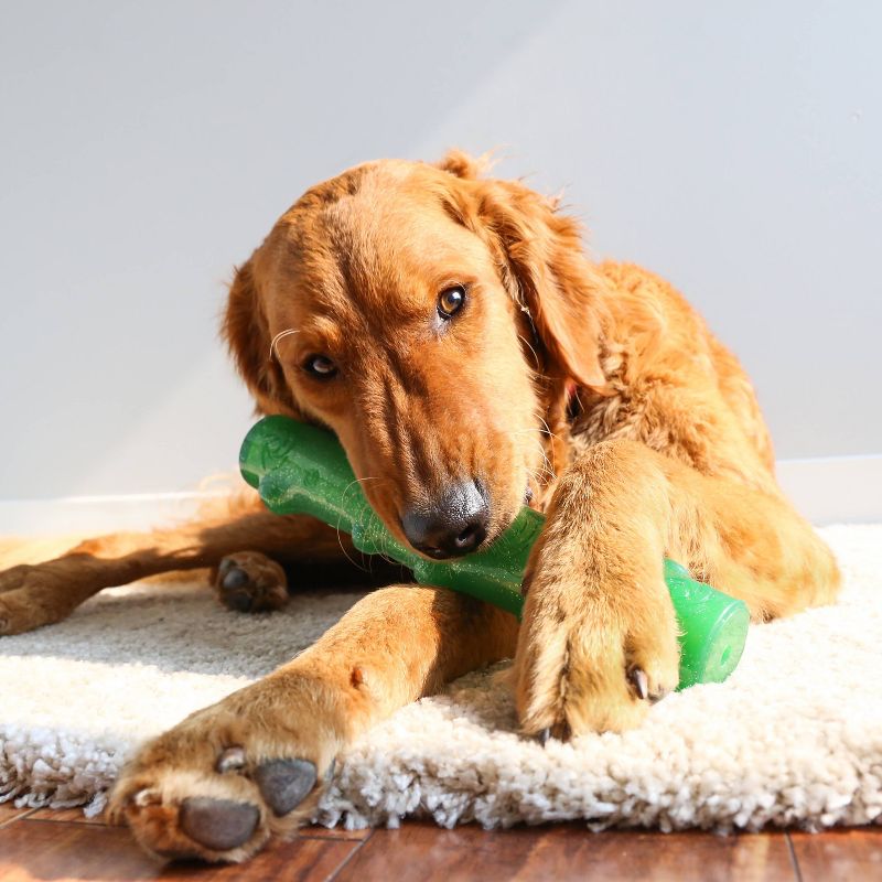 KONG Holiday Squeezz Crackle Stick Holiday Dog Toy - Green - L