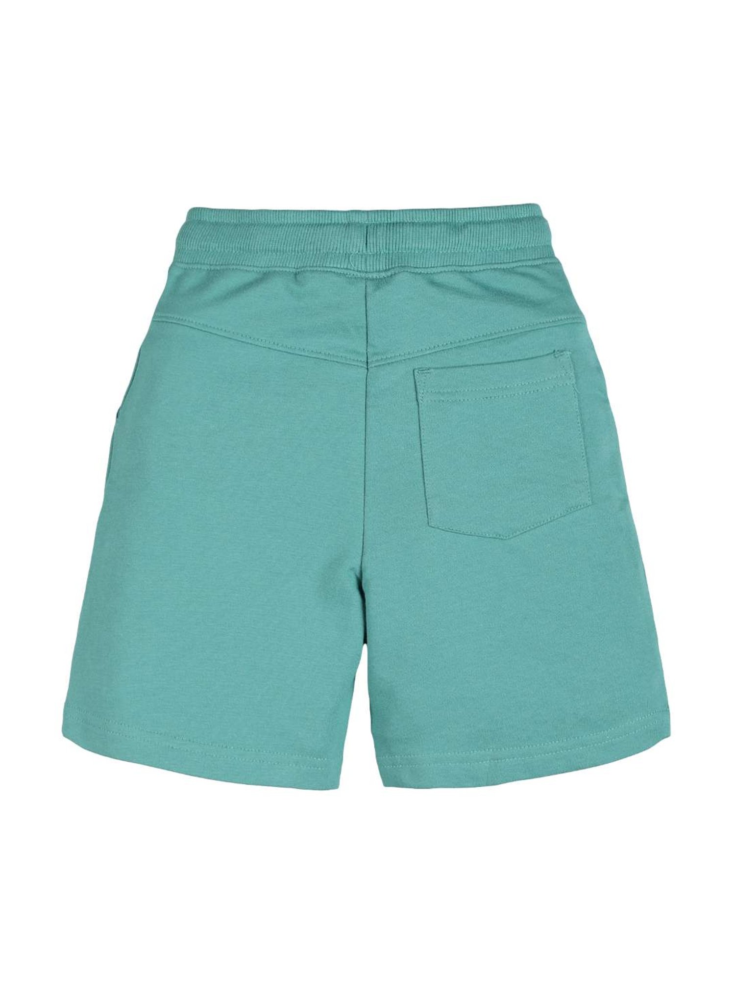 Plum Tree Boys Green Solid Shorts
