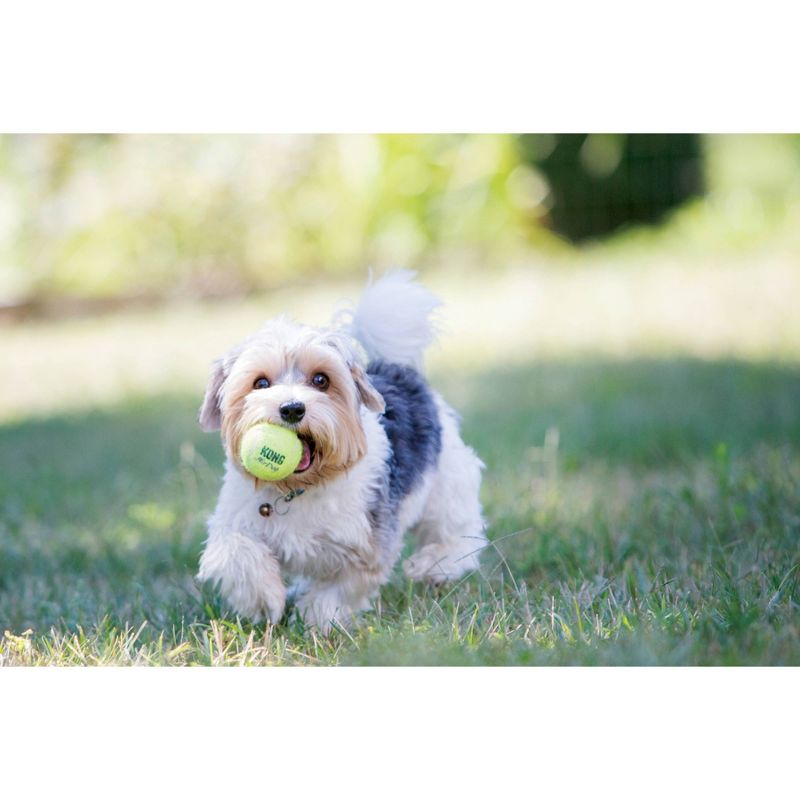 KONG SqueakAir Tennis Ball Dog Toy - S - 4ct