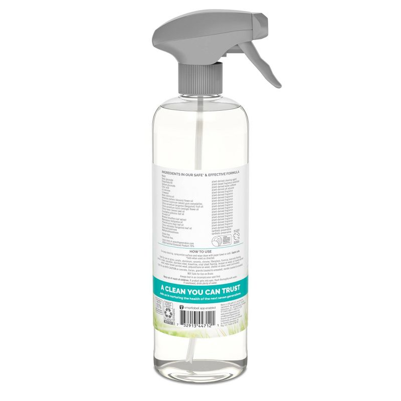 Mandarin & Ginger Granite & Stone Cleaner - 28 fl oz - Everspring™